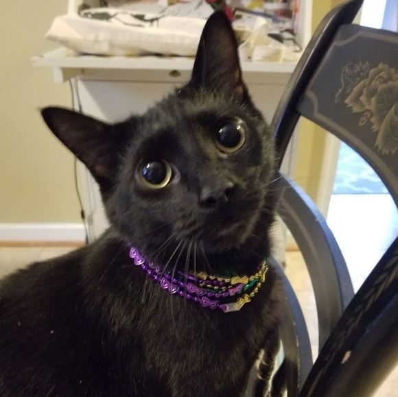 Meet your Posher, Jill - Picture 1 of 3